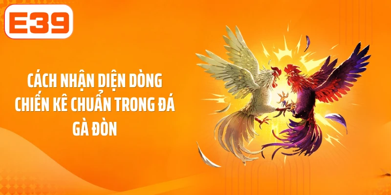 Cách nhận diện dòng chiến kê chuẩn trong đá gà đòn